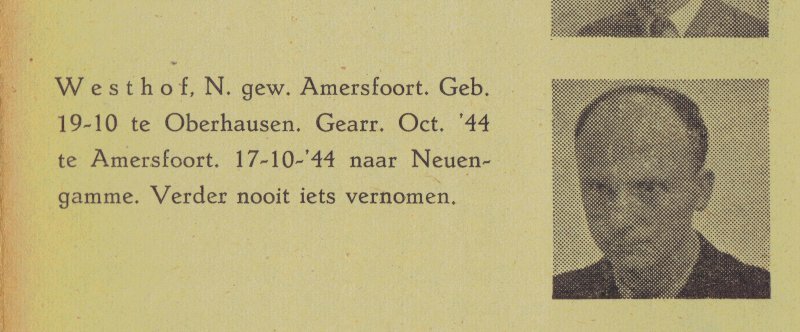 Nikolaus Westhof