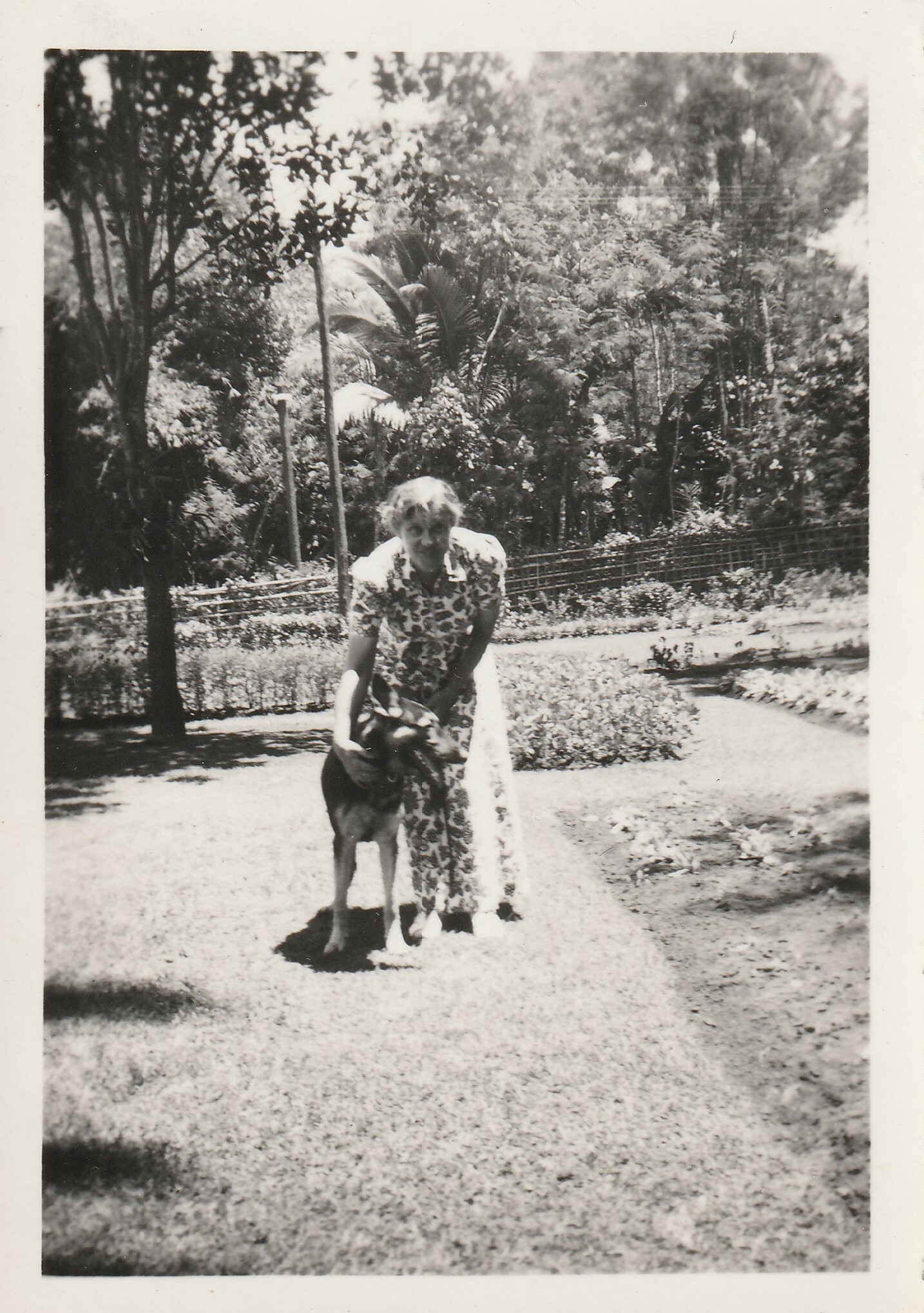 1939 december Alida de Kater