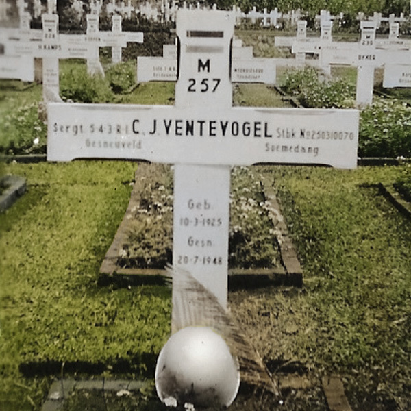Graf Kees Ventevogel