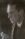 J K Veurman