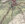 Drenth