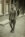 Florentius Johannes Maria Ackermans 2