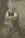Pieter van Laarhoven 1