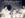 Scannen0054