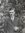Willem Cornelis Bosselaar 1