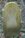 Ruiter w
