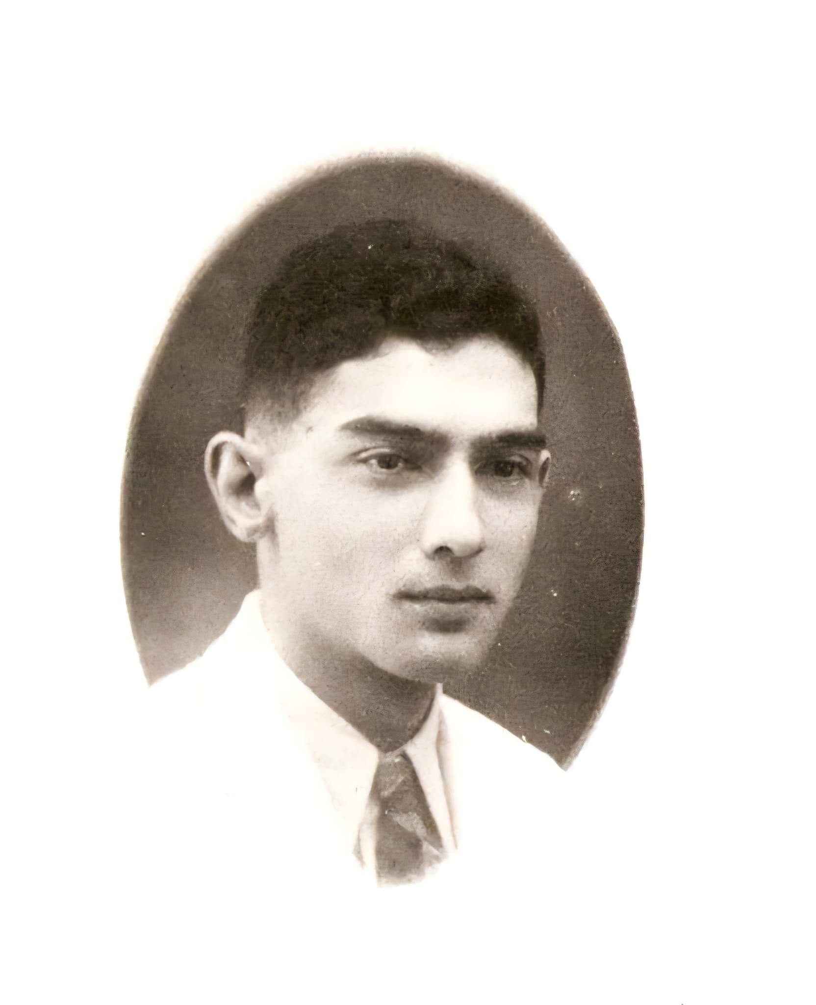 Hendricus van Zwieten