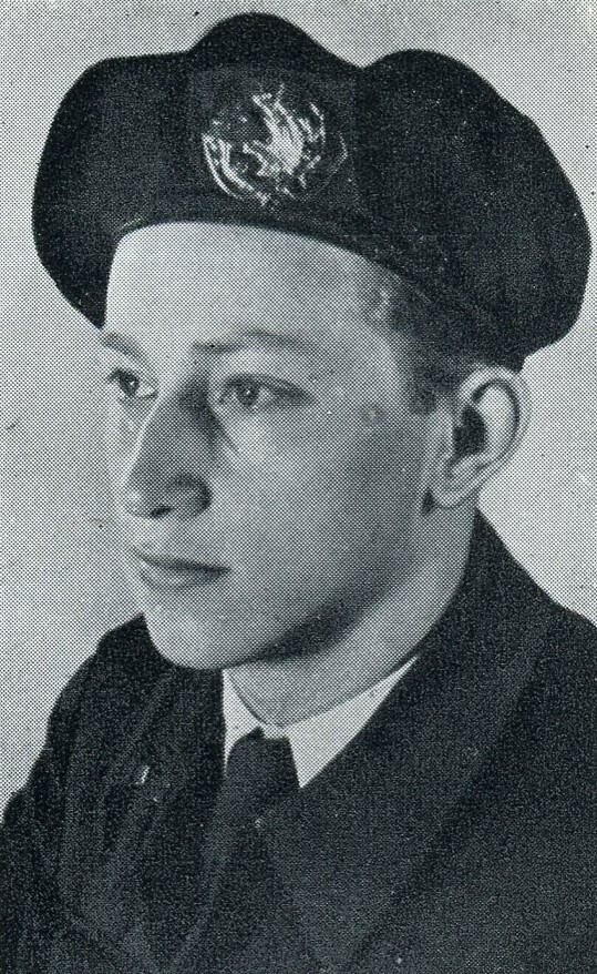 Hendricus Cornelis Aloysius van den Berg