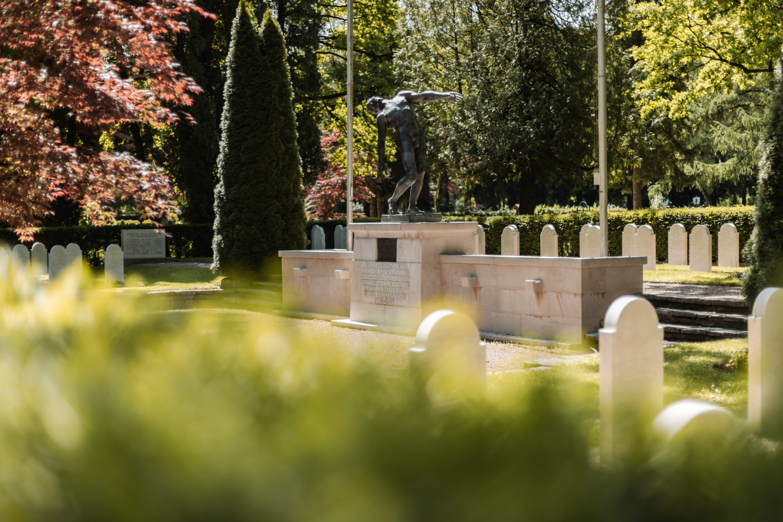 War graves 36