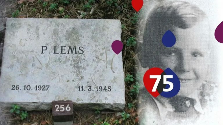 Pieter Lems 1 768x432